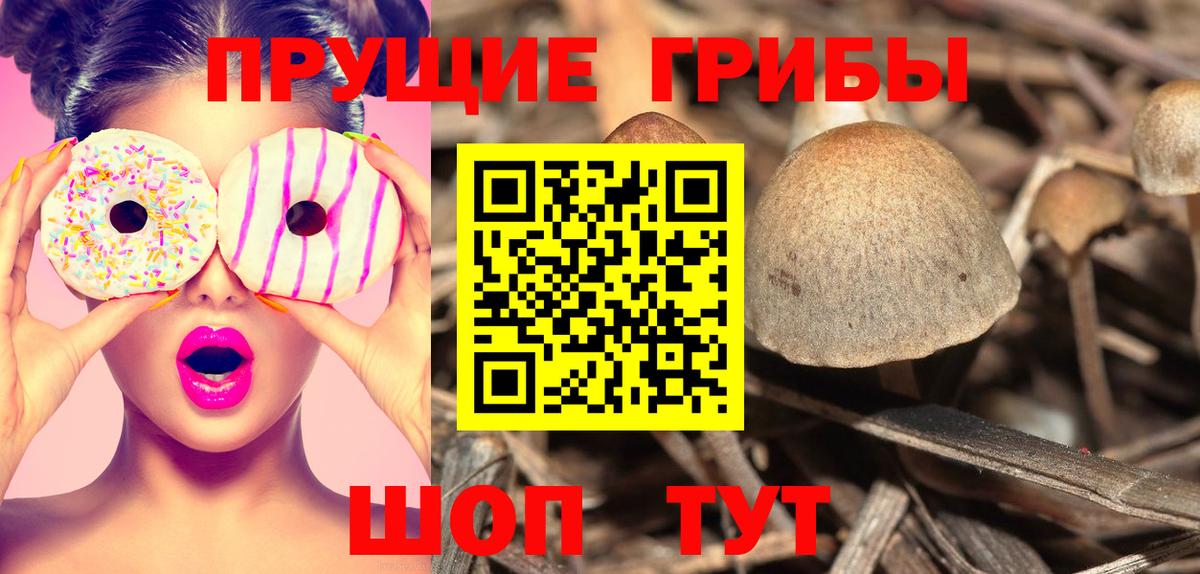 Псилоцибиновые грибы мицелий  Вход с VPN  Каспийск 
