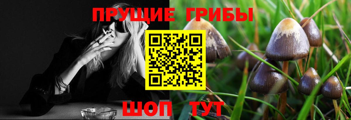 Псилоцибиновые грибы GOLDEN TEACHER Каспийск